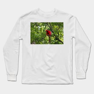 Red Says I See You Long Sleeve T-Shirt